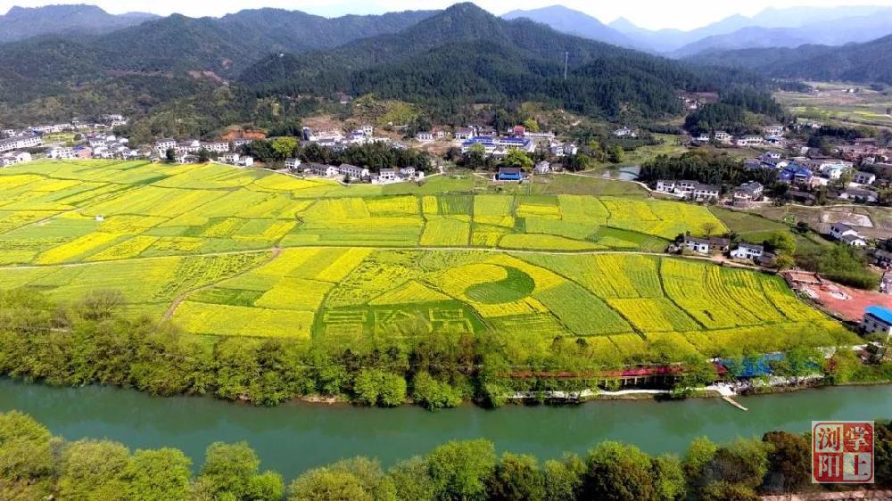 【秘境·浏阳】厉害了!来达浒镇油菜花节带你"花式"玩遍春赏花季