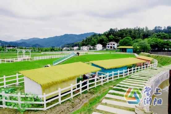 1683709092843031193.png image.png