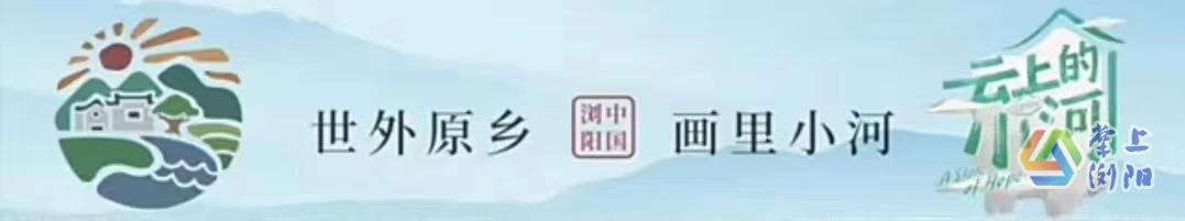 1683709153308062725.jpg 首图.jpg