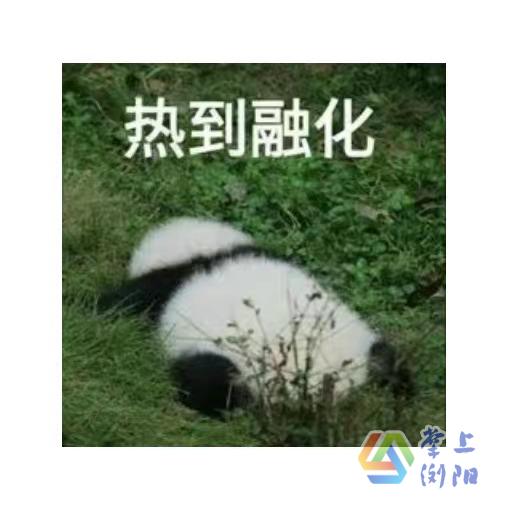 5038985250362f91d31bf9b802ae907.jpg