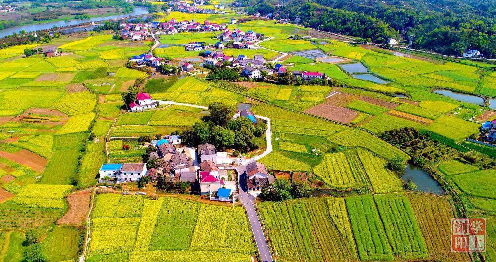 永安镇"壮丽70年,奋进新时代"摄影比赛获奖作品公示-浏阳市政府门户